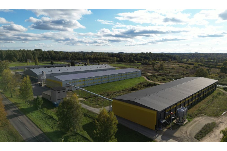 APF Holdings pirmajā pusgadā par 51% palielina ārpus sprostiem dēto olu ražošanu, eksportē un turpina investēt attīstībā