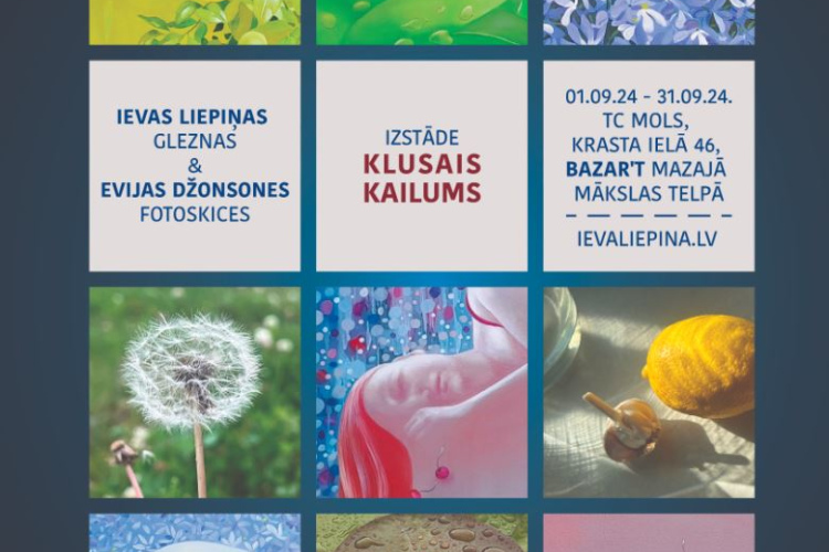 Izstāde KLUSAIS KAILUMS. Ievas Liepiņas gleznas un Evijas Džonsones fotoskices.