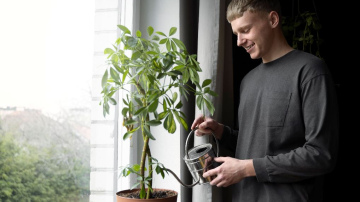 Aptauja: Domājot par nākotni, Latvijas iedzīvotāji visbiežāk rūpējas par finansiālo stabilitāti