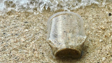 Kā izglābt ja ne okeānu, tad vismaz Baltijas jūru
