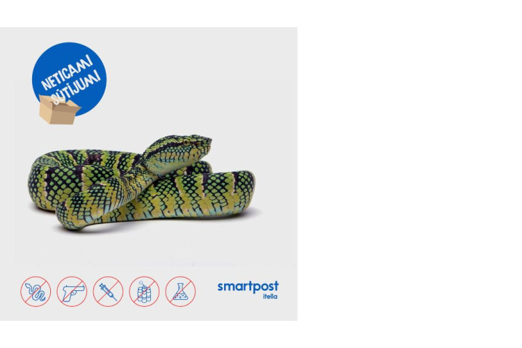 Reptiļi paku terminālī: “Smartpost Itella” dalās ar neparastāko pieredzi un tendencēm klientu sūtījumos