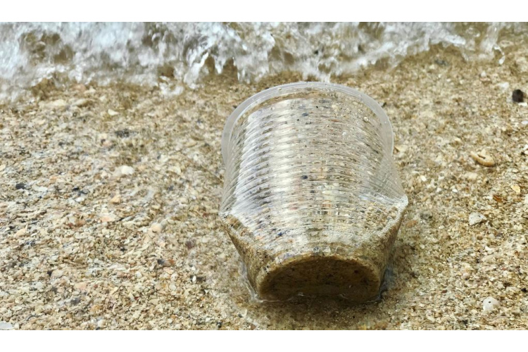 Kā izglābt ja ne okeānu, tad vismaz Baltijas jūru
