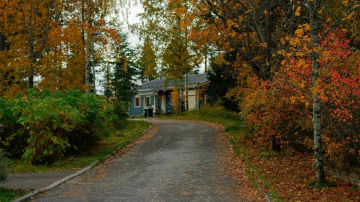 Tuvojas rudens vētra – kā pasargāt savu īpašumu no vēja postījumiem?