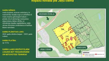 RĪGAS MEŽI uzsāk mežizstrādi Juglas mežniecībā,  Ropažu novadā pie Jāņu ciema