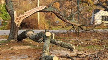 Aptauja: Latvijas iedzīvotājus no dabas stihijām visvairāk satrauc vētru radītie postījumi