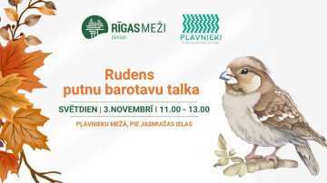 Ar saukli “Rūpējies, bet nekaitē!” RĪGAS MEŽI kopā ar iedzīvotājiem uzsāk putnu barotavu veidošanas talkas