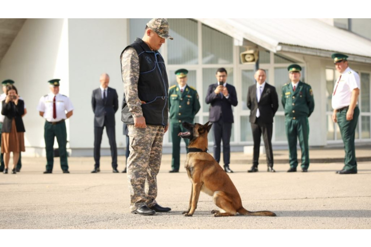 Dienesta suņi no Latvijas tiks nodoti Centrālāzijas valstu robežsardzei