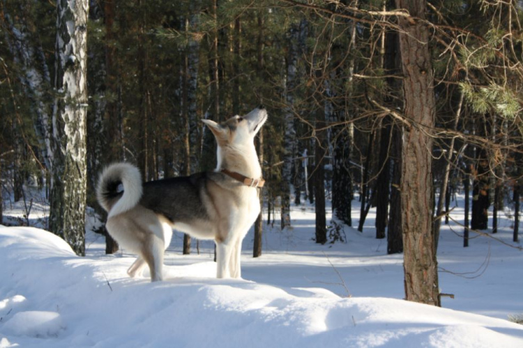 Foto: pexels.com/’Pexels