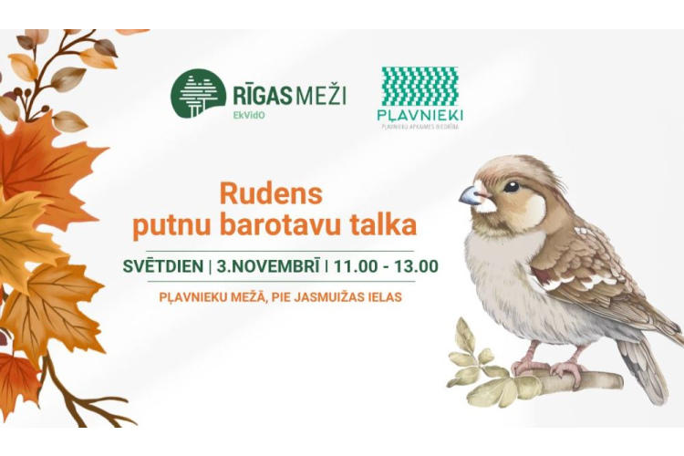 Ar saukli “Rūpējies, bet nekaitē!” RĪGAS MEŽI kopā ar iedzīvotājiem uzsāk putnu barotavu veidošanas talkas