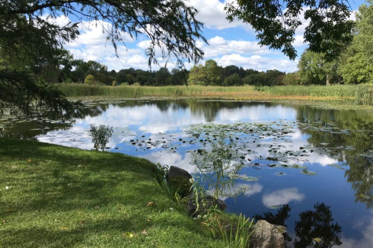 Meža atjaunošana - ieguldījums, kas atmaksājas
