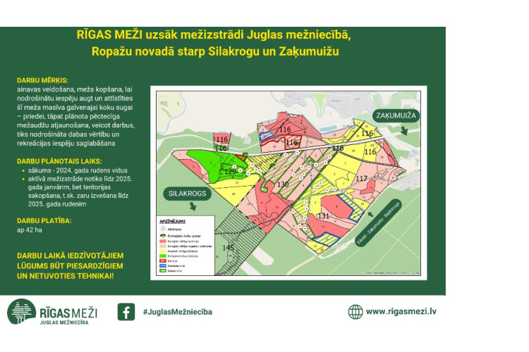 RĪGAS MEŽI uzsāk mežizstrādi Juglas mežniecībā, Ropažu novadā starp Silakrogu un Zaķumuižu