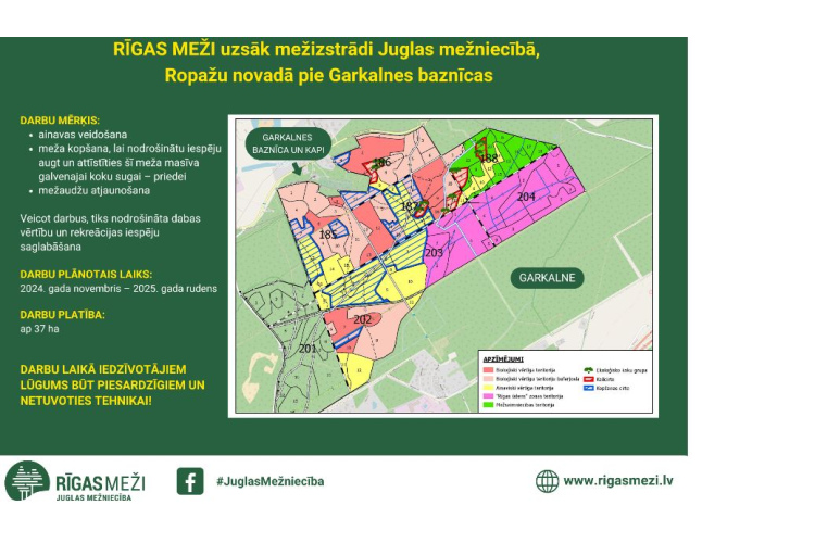 RĪGAS MEŽI uzsāk mežizstrādi Juglas mežniecībā,  Ropažu novadā pie Garkalnes baznīcas