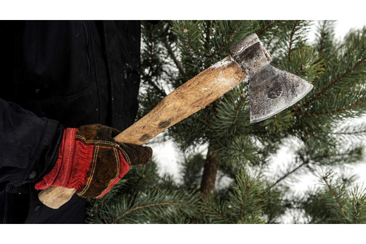 RĪGAS MEŽI aicina baudīt ziemas burvību dabā, eglīti atstājot mežā
