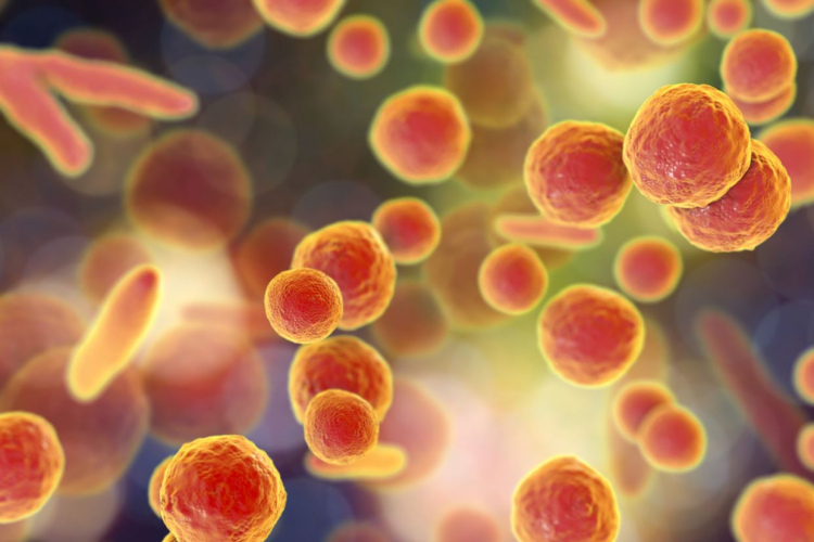 Strauji pieaug pieprasījums mikoplazmu ierosinātu elpceļu infekciju diagnostikai