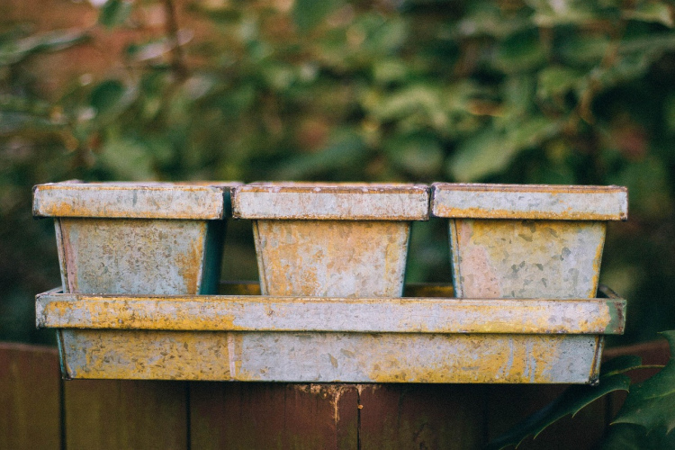 Kā noņemt pelējumu no puķu podu ārsienām - vienkāršs risinājums