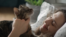 Ko īstenībā nozīmē, ja kaķim patīk gulēt tavā gultā. Atklāts īstais iemesls