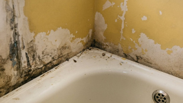 Kāpēc vannas istabā parādās pelējums un nepatīkama smaka - pie vainas ir viens "veselīgs" ieradums