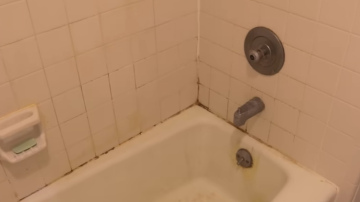 3 vienkārši veidi, kā noņemt pelējumu no dušas kabīne un novērst tā atkārtošanos