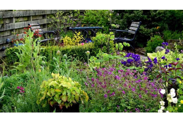 Augsnes bagātināšana - 4 veidi, kā uzlabot auglību rudenī, lai pavasarī izveidotu perfektu dārzu