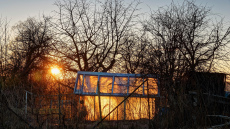 Pieredzējuši dārznieki siltumnīcā vienmēr ievieto mucu ar ūdeni –  galvenais iemesls nav saistīts ar laistīšanu