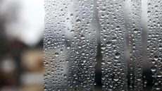 Kondensāts uz logiem - 4 ekspertu padomi, kā ar to patiešām tikt galā