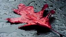 Horoskops 12. novembrim: Dvīņiem - dāvana, ​​Strēlniekam - pārmaiņas