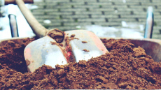 Novembris nav laiks pašdarbībai - kļūdas tagad var maksāt pavasara ražu