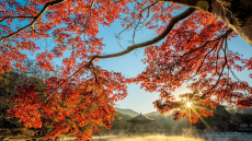 Horoskops 13. novembrim: Svariem- grūtības, Ūdensvīram - jaunas iespējas