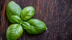 Baziliks, salvija un rozmarīns audzē garšīgākas lapas, ja to augsnei pievieno 1 vannasistabā lietojamu priekšmetu