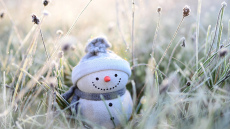 Astroloģiskā prognoze 2025. gada decembrim: pienācis laiks izprast savu augstāko mērķi