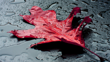 Horoskops 12. novembrim: Dvīņiem - dāvana, ​​Strēlniekam - pārmaiņas