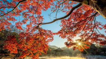 Horoskops 13. novembrim: Svariem- grūtības, Ūdensvīram - jaunas iespējas