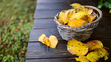Horoskops nedēļai no 2025. gada 17. līdz 23. novembrim stāsta, ka būs jāpārvar daudz grūtības