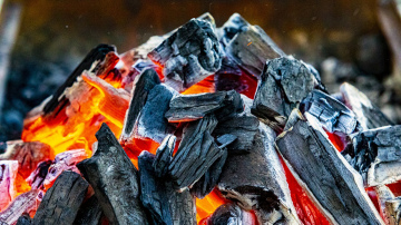 Kāpēc istabas augu augsnei jāpievieno kokogle - iemesls, ko veikali nestāsta