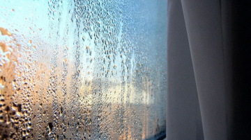 5 dabīgi veidi, kā atbrīvoties no mitruma mājā