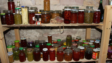 Atbrīvojaties no pelējuma pagrāba – secīgi soļi un risinājumi