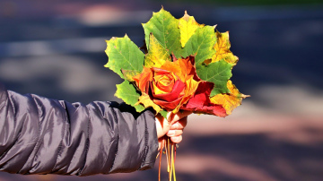 Horoskops nedēļai no 2025. gada 24. līdz 30. novembrim: šonedēļ gaidāmi gan svarīgi, gan nepatīkami notikumi