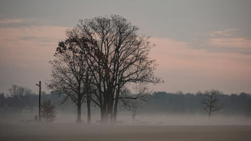 Mūsu senči zināja visu – šī 27. novembra zīme sola karstu vasaru