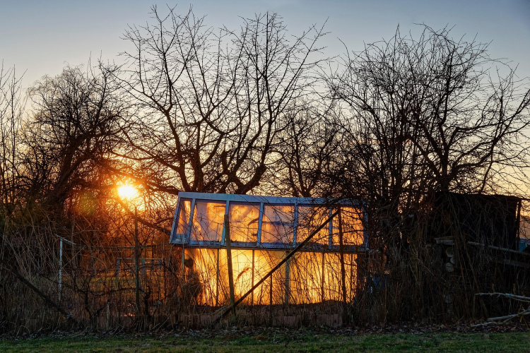 Pieredzējuši dārznieki siltumnīcā vienmēr ievieto mucu ar ūdeni –  galvenais iemesls nav saistīts ar laistīšanu
