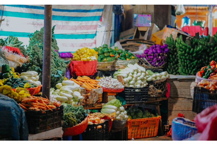 Optimāla temperatūra dārzeņu uzglabāšanai: no sakņdārzeņiem līdz lapu kultūrām