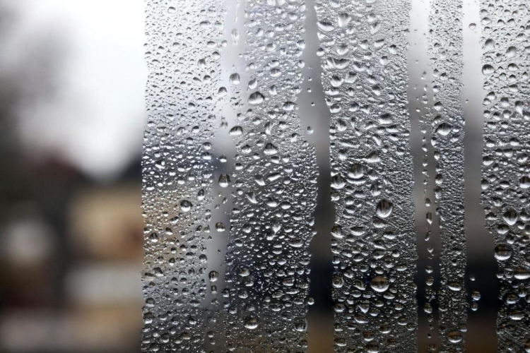 Kondensāts uz logiem - 4 ekspertu padomi, kā ar to patiešām tikt galā