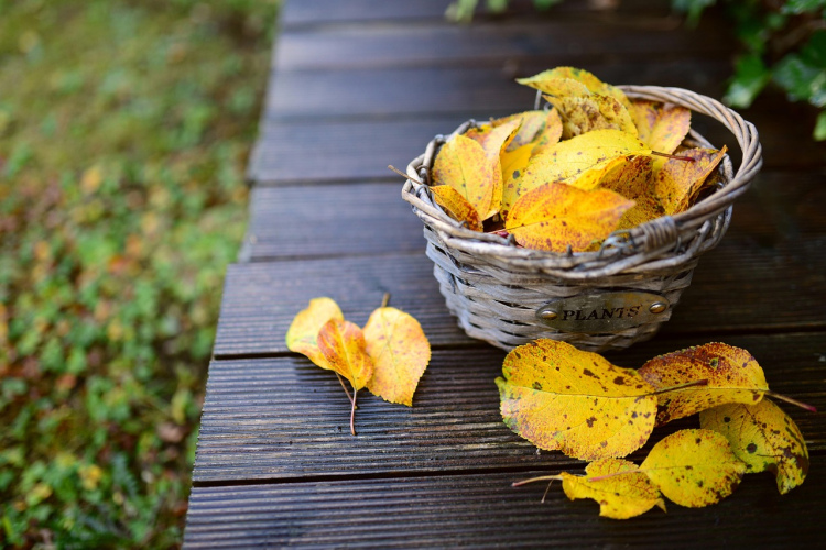 Horoskops nedēļai no 2025. gada 17. līdz 23. novembrim stāsta, ka būs jāpārvar daudz grūtības