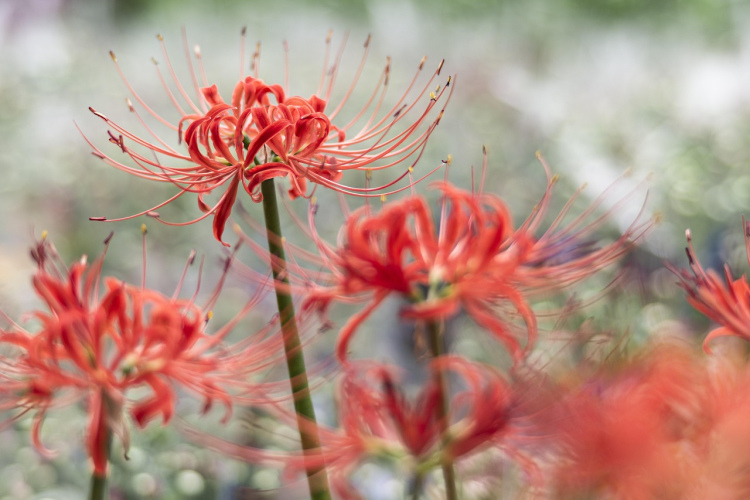 Horoskops 16. novembrim: Vēzim - interesanta atpūta, Ūdensvīram - jaunas idejas