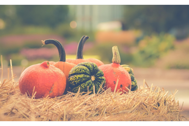 Austrumu horoskops nedēļai no 2025. gada 24. līdz 30. novembrim: sagaidāmās liktenīgas pārmaiņas