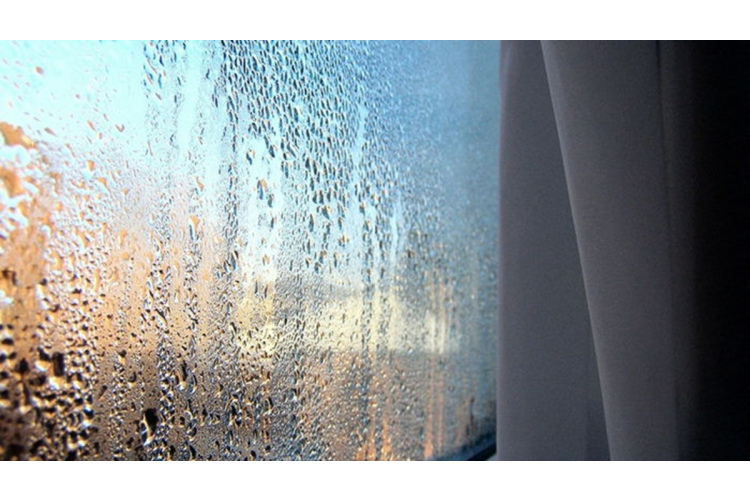 5 dabīgi veidi, kā atbrīvoties no mitruma mājā