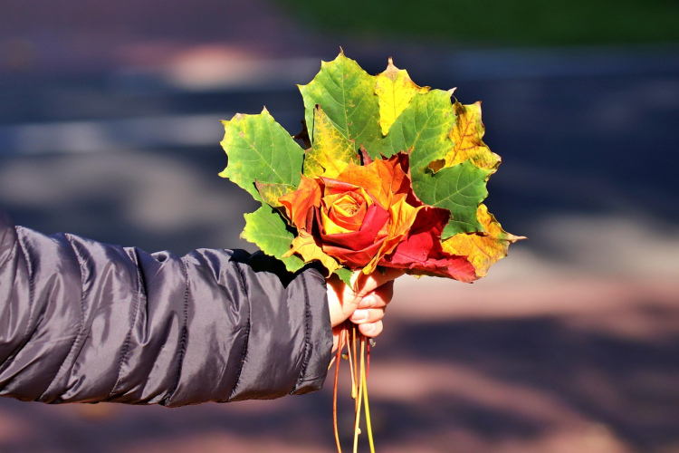 Horoskops nedēļai no 2025. gada 24. līdz 30. novembrim: šonedēļ gaidāmi gan svarīgi, gan nepatīkami notikumi