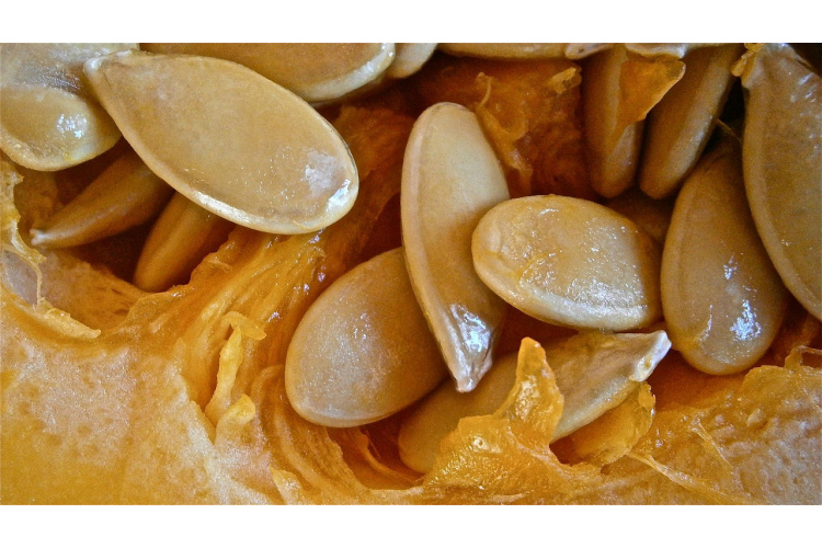 Veids, kā ātri nomizot ķirbju sēklas un veselīgi tās apgrauzdēt - pārbaudīta metode