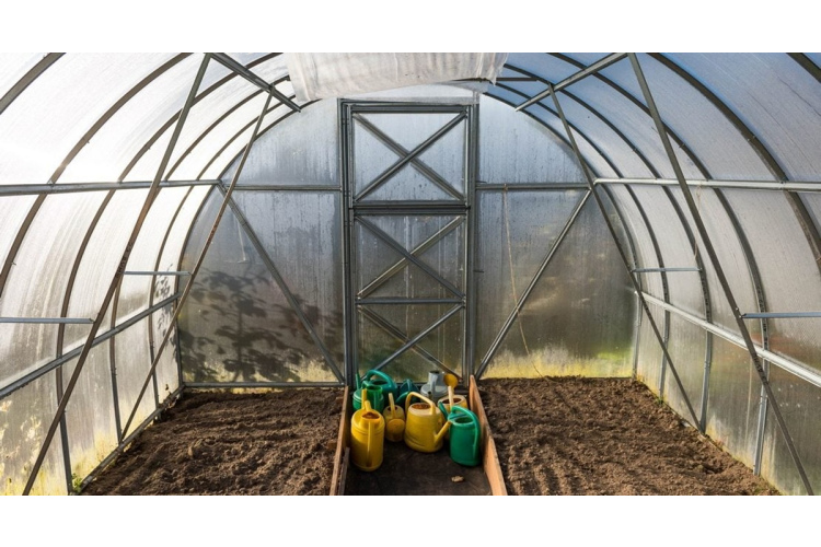 Es laistu siltumnīcas augsni ar vecmodīgu kokteili, lai aizmirstu par lakstu puvi - tas jādara novembra beigās