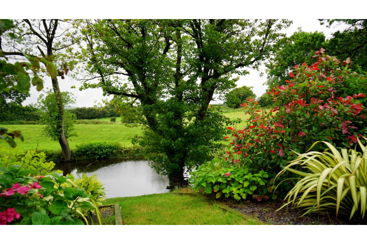 Šie augi nekavējoties jāizvāc no dārza: tie ir invazīvi un pārņems visu teritoriju