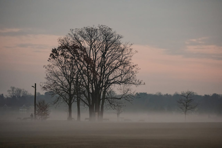 Mūsu senči zināja visu – šī 27. novembra zīme sola karstu vasaru